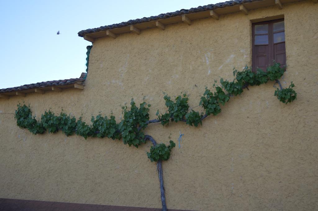 Casa Rural Los Llaganos Villaturiel 外观 照片